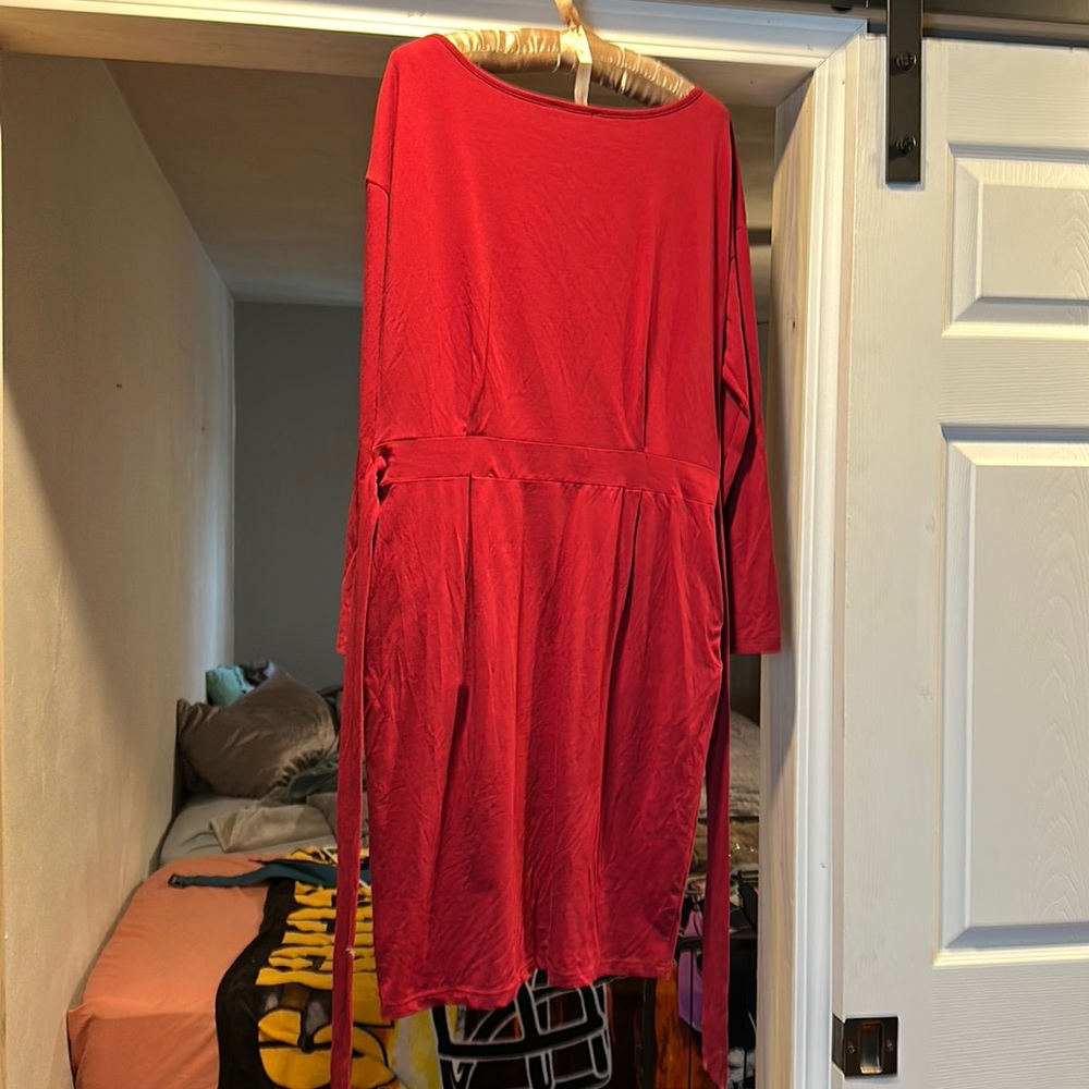 Brand new pretty garden long sleeve dress